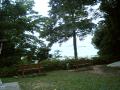 Asia 2006, photo 153 of 173