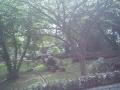 Asia 2006, photo 154 of 173