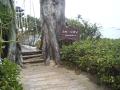 Asia 2006, photo 156 of 173