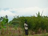 Haiti 2009, photo 16 of 20