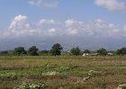 Haiti — April 2011, photo 17 of 40