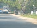 India 2008, photo 29 of 47